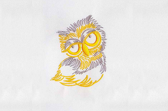 Big Eyes Owl: A Designer’s Practical Review