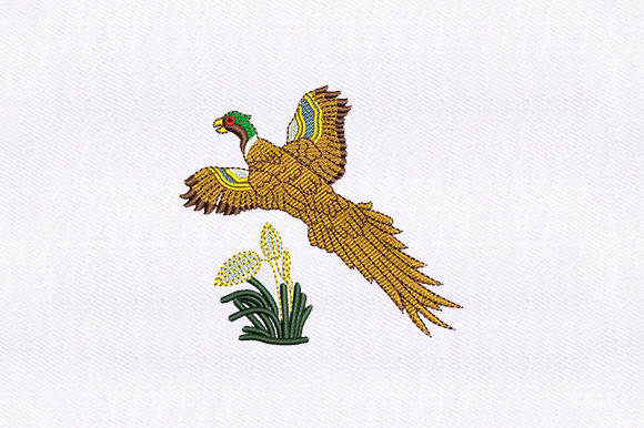 Flying Macaw Parrot: A Designer’s Review