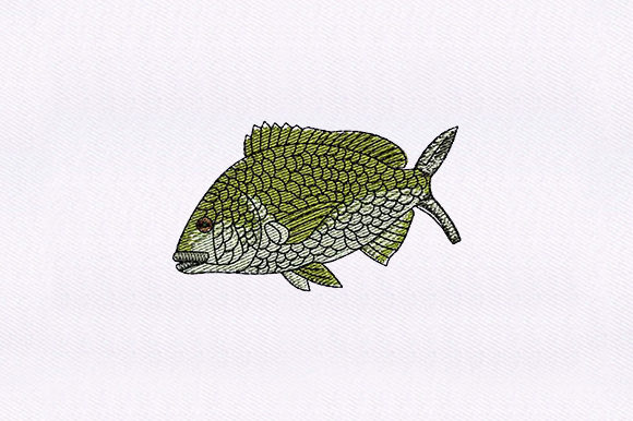 Green Fish: A Designer’s Review for Boutique Apparel