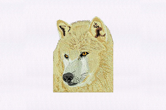 Labrador Husky Face: A Designer’s Review